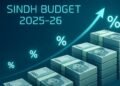Budget 2025-26: Sindh Cabinet Approves Salary Hike for Government Employees